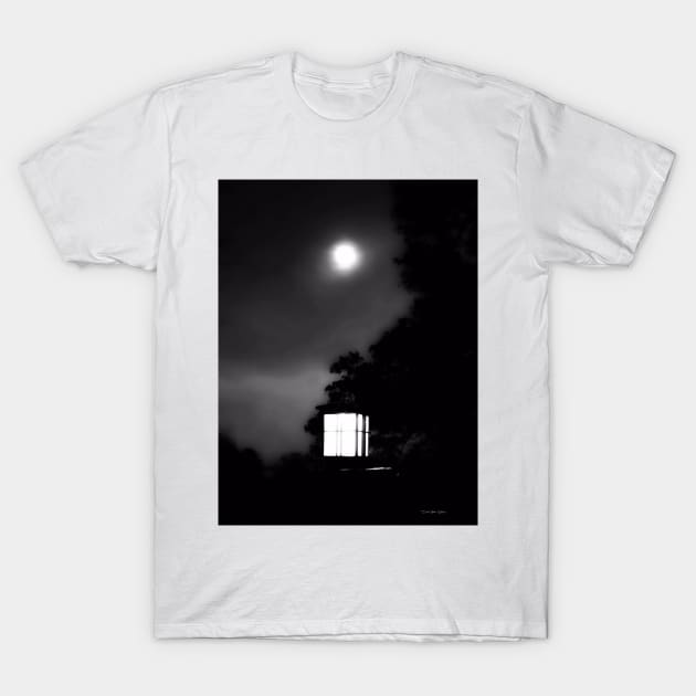 Night Lights - Black And White T-Shirt by davidbstudios